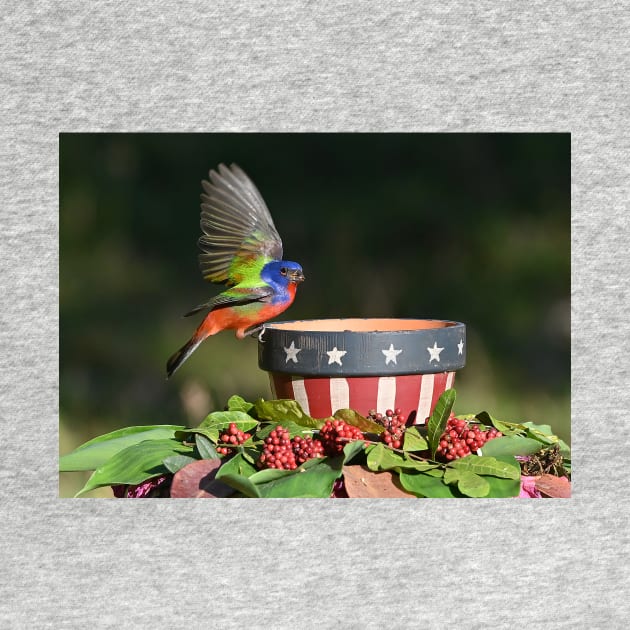 Painted Bunting Bird Saluting the American Flag Bowl by candiscamera